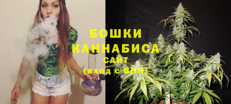 Канабис SATIVA & INDICA  кракен сайт  Нестеровская 